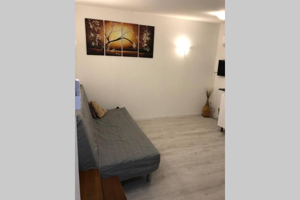 Cosy Avec Possibilite Piscine En Supplement Apartment *
